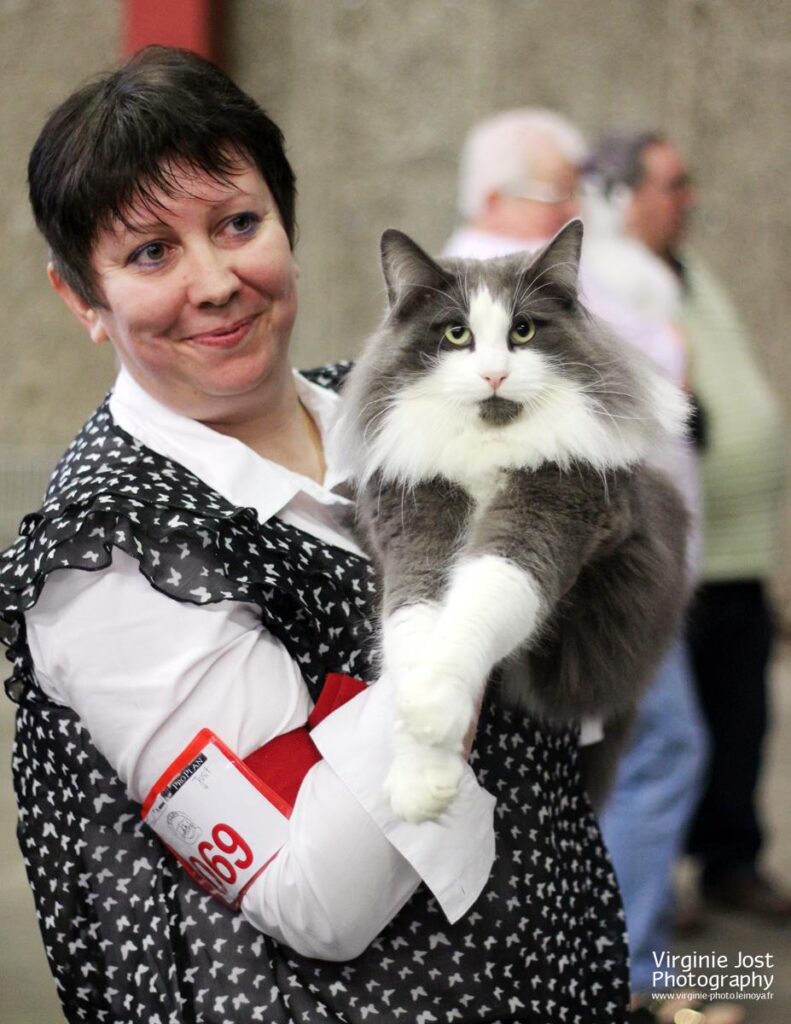 Patricia et Nordic Ghost Just In Time